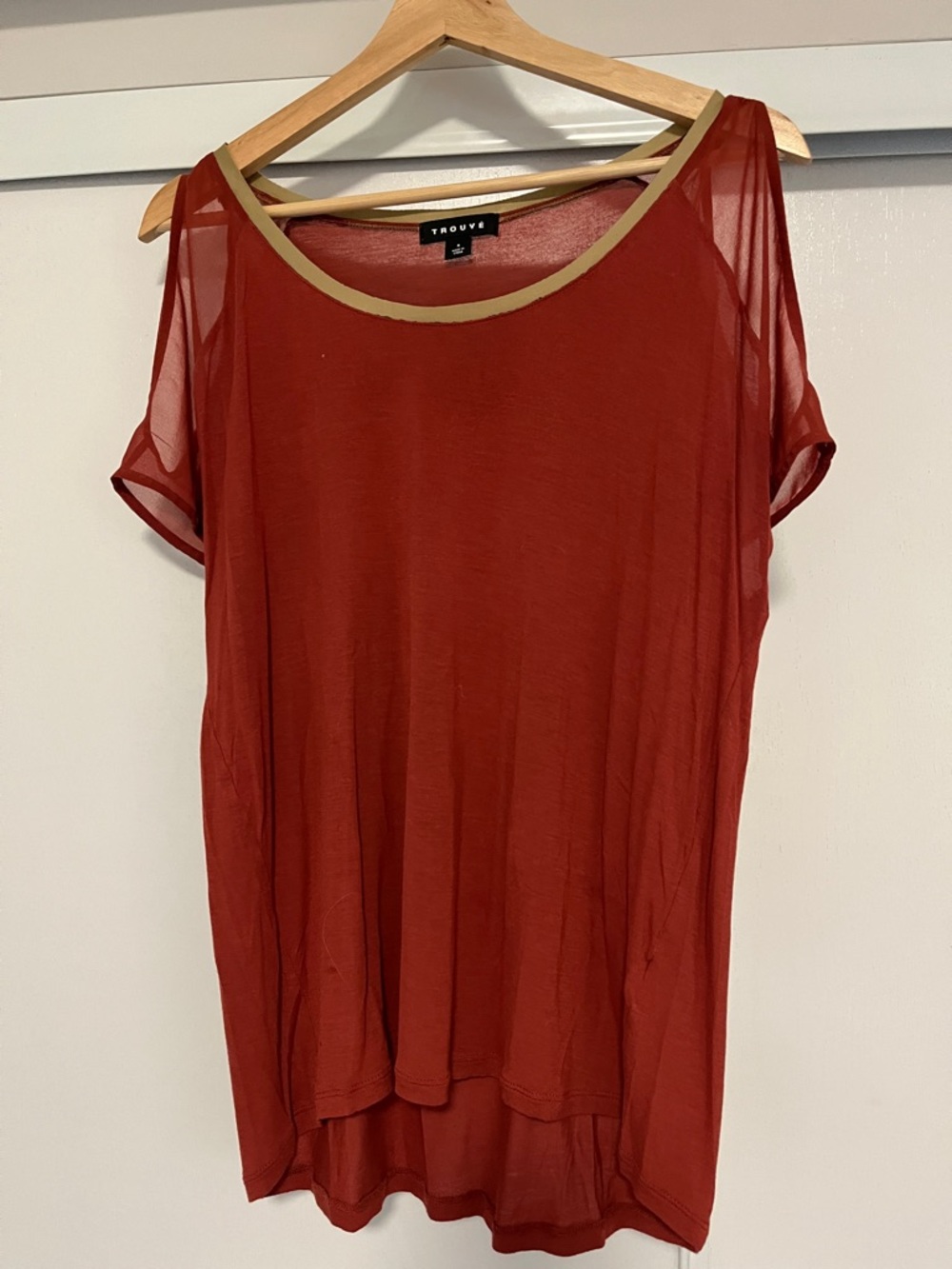 Trouve Rust Sheer Short Sleeve Top with Gold Trim